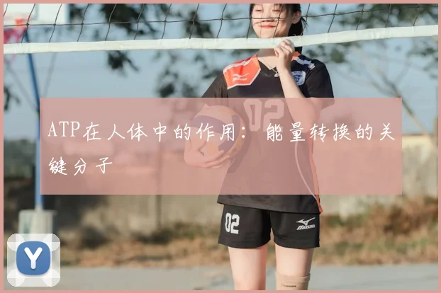 ATP在人体中的作用：能量转换的关键分子