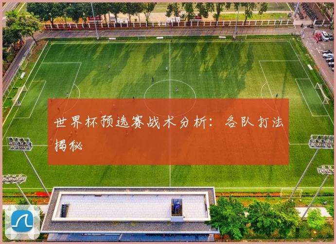 世界杯预选赛战术分析：各队打法揭秘