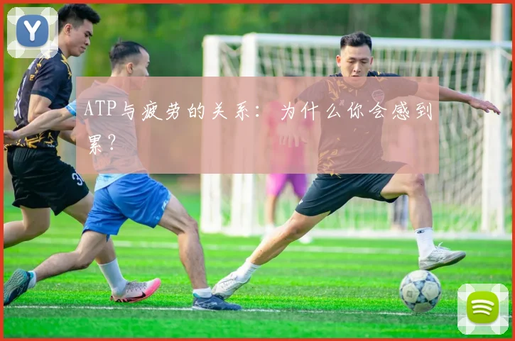 ATP与疲劳的关系：为什么你会感到累？