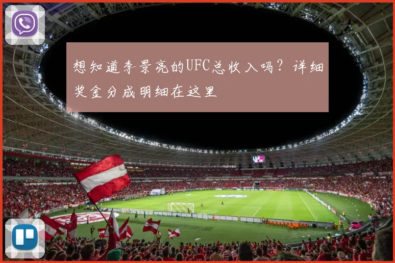 想知道李景亮的UFC总收入吗?详细奖金分成明细在这里