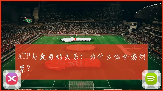 ATP与疲劳的关系:为什么你会感到累?