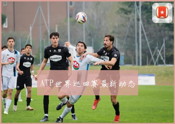 ATP世界巡回赛最新动态