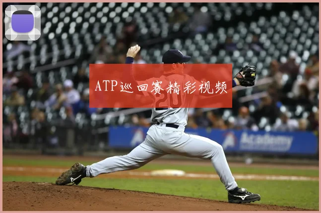 ATP巡回赛精彩视频