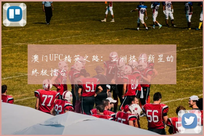 澳门UFC精英之路：亚洲格斗新星的终极擂台