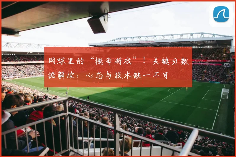 网球里的“概率游戏”！关键分数据解读，心态与技术缺一不可