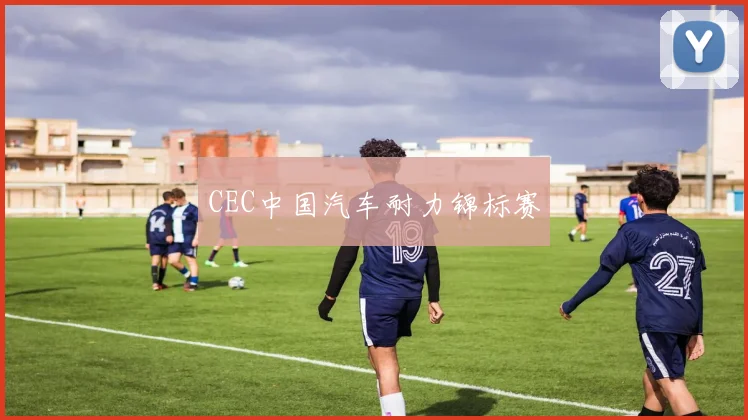 CEC中国汽车耐力锦标赛
